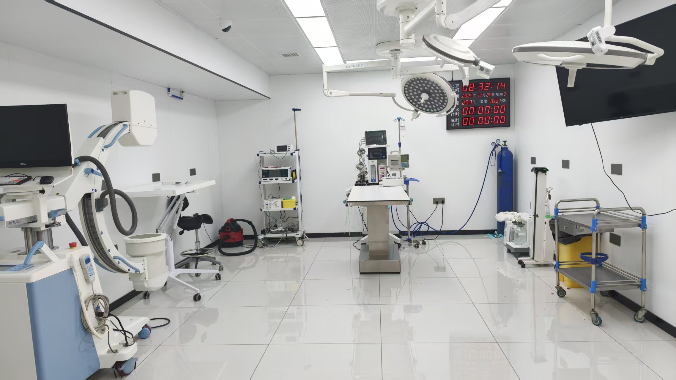 2026年哈尔滨口碑好的兽医服务排名，动物医院专业推荐