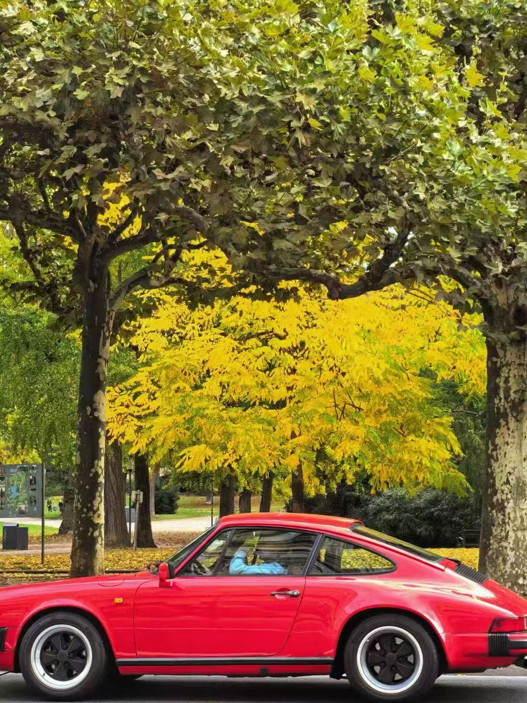 广州移民公司哪家性价比高，分析信联易达移民顾问服务态度