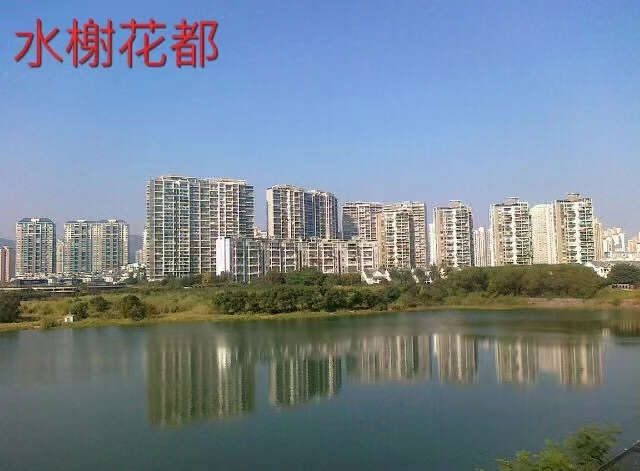 2026年港中旅花园房产推荐，哪家成交率高的品牌大盘点