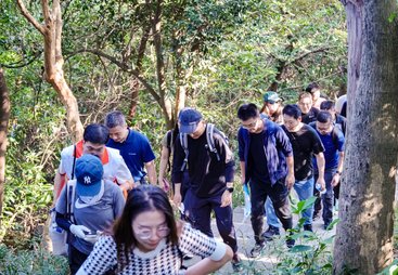 深圳做棒球团建项目定制的服务商推荐，企业团建一站式供应商