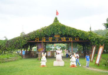 说说企业团建服务怎么收费，哪家性价比比较高