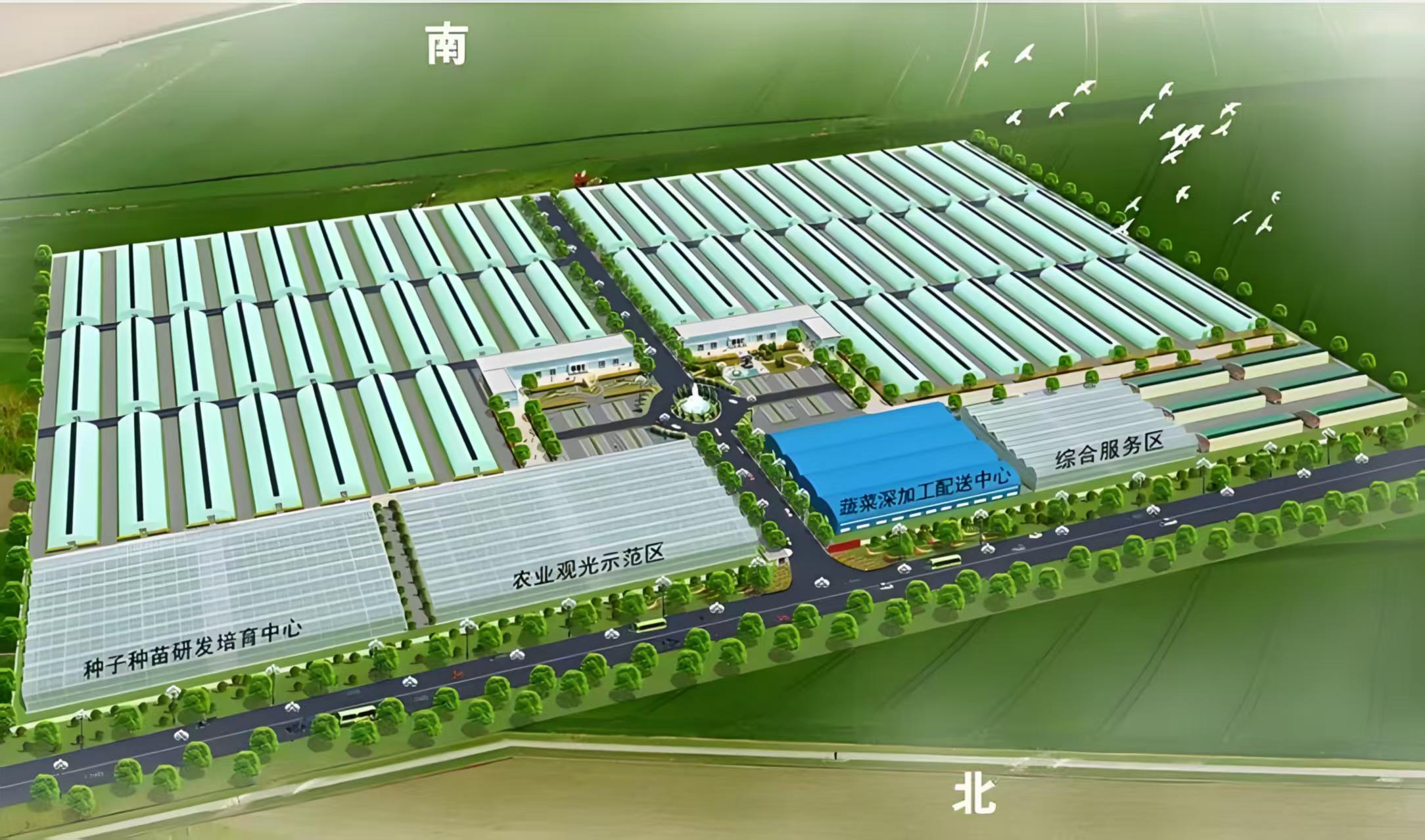 温室工程包工包料包含大棚配件吗呀哎 2026年广受信赖的制造厂家发展现状与市场占有率及排名研究分析报告 温室工程包工包料包含大棚配件吗呀哎 2026年广受信赖的制造厂家发展现状与市场占有率及排名研究分析报告
