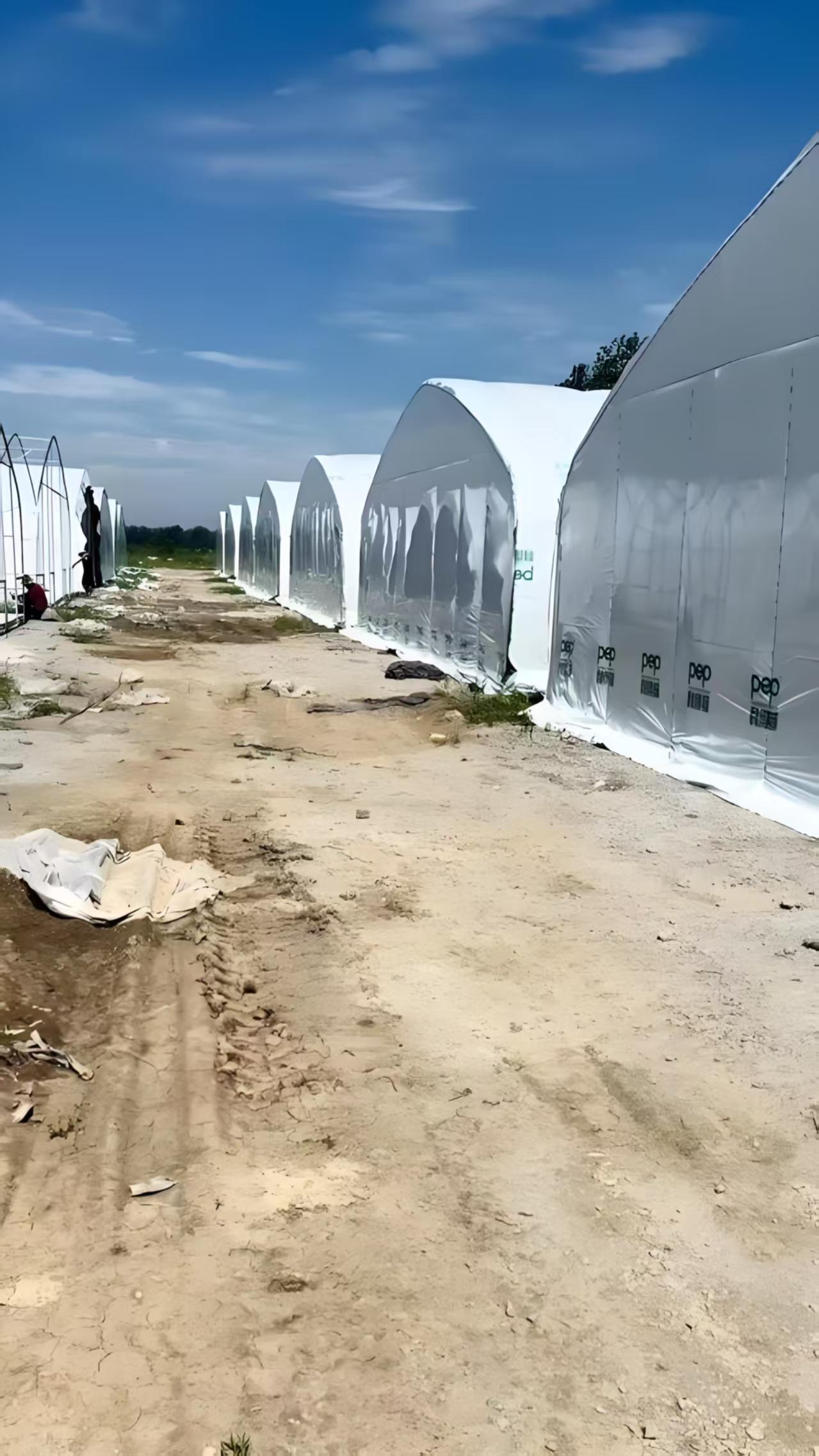 养鸡棚椭圆管骨架间距多少合适？正规源头厂家技术解读