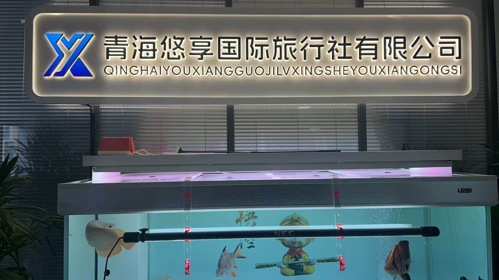 关于我们