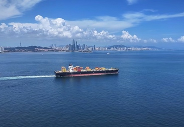 2026年专业的国际物流DDP机构筛选名录