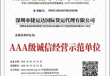 2026年山东省正规的DDP双清专业机构有哪些