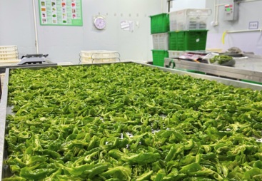 说说食堂承包服务价格，哪家便宜值得深入了解