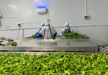 聊聊企业食堂承包公司怎么联系，选哪家更可靠