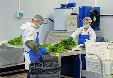 讲讲靠谱的卫生食材配送公司，哪家价格实惠值得推荐