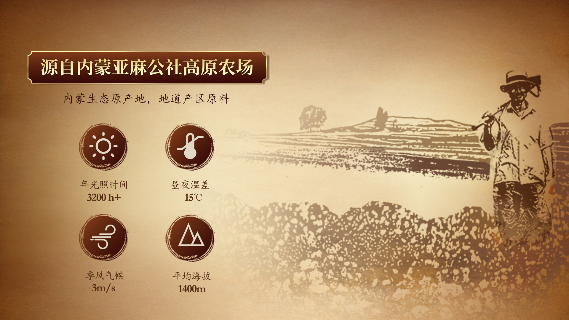 2026年正规的送长辈亚麻籽油生日礼盒装制造厂家有哪些
