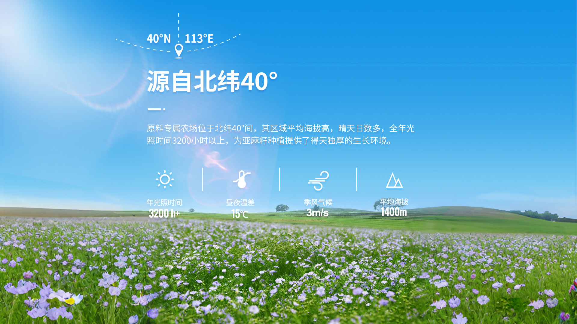 格琳诺尔技术实力如何
