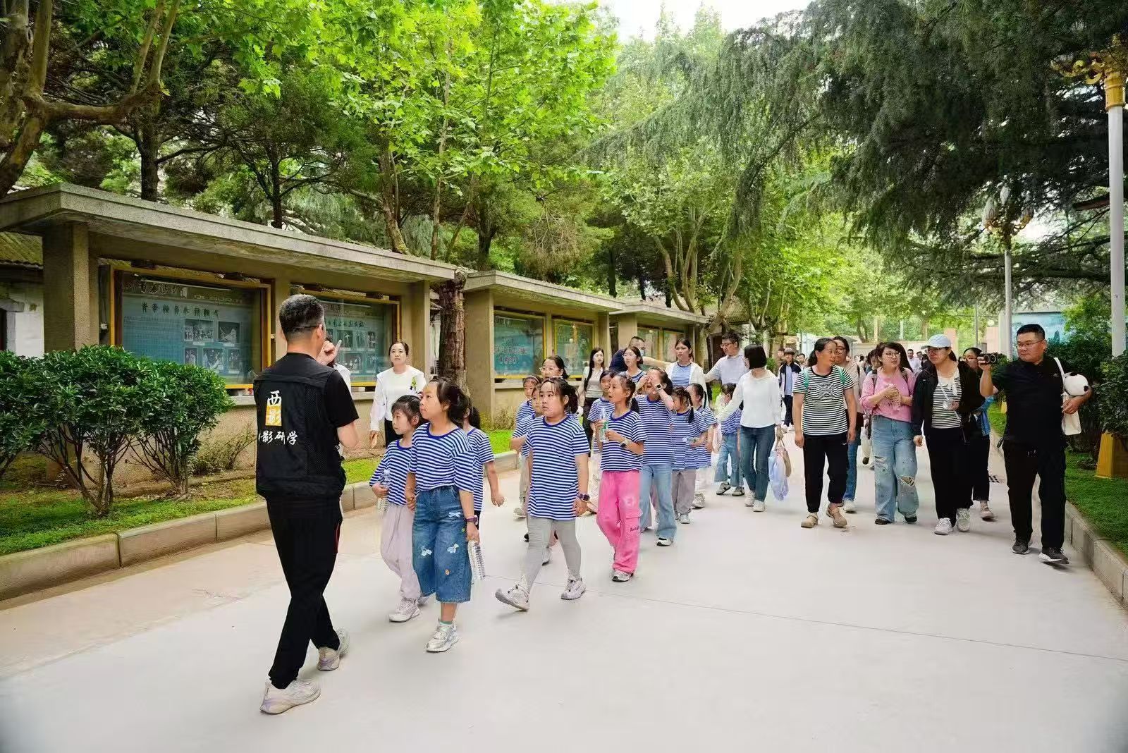 2026年正规的亲子研学机构行业现状与选择指南