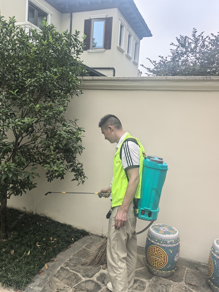 分享白蚁防治中心选择攻略，哪家靠谱又价格合理