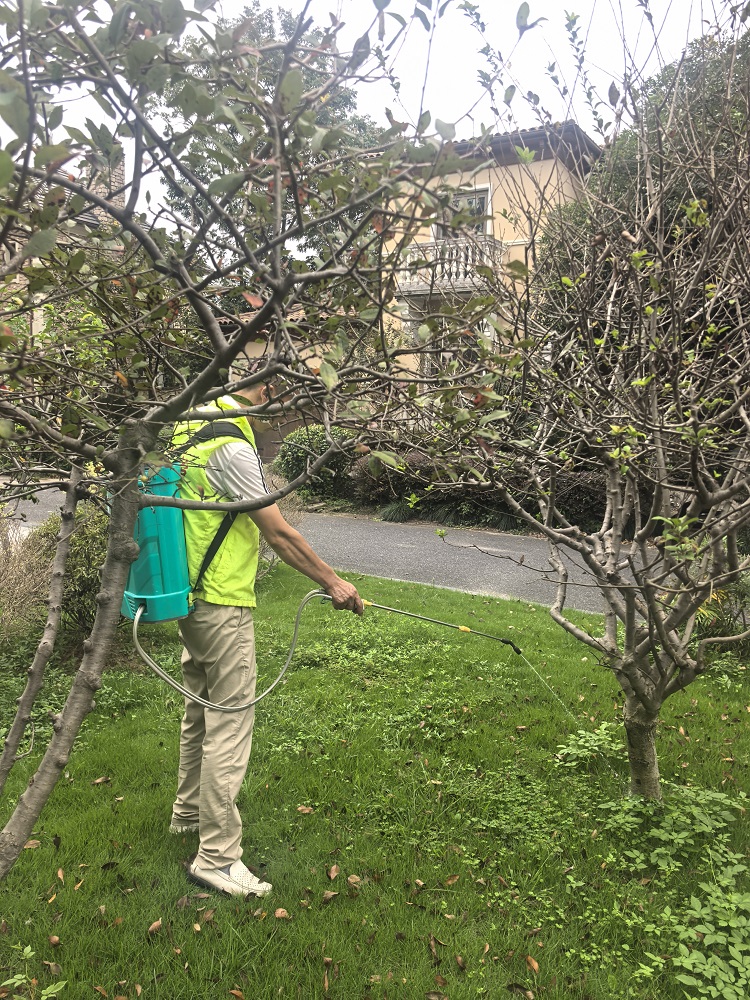 盘点2026年靠谱的白蚁防治中心，资质齐全、信誉好的公司推荐