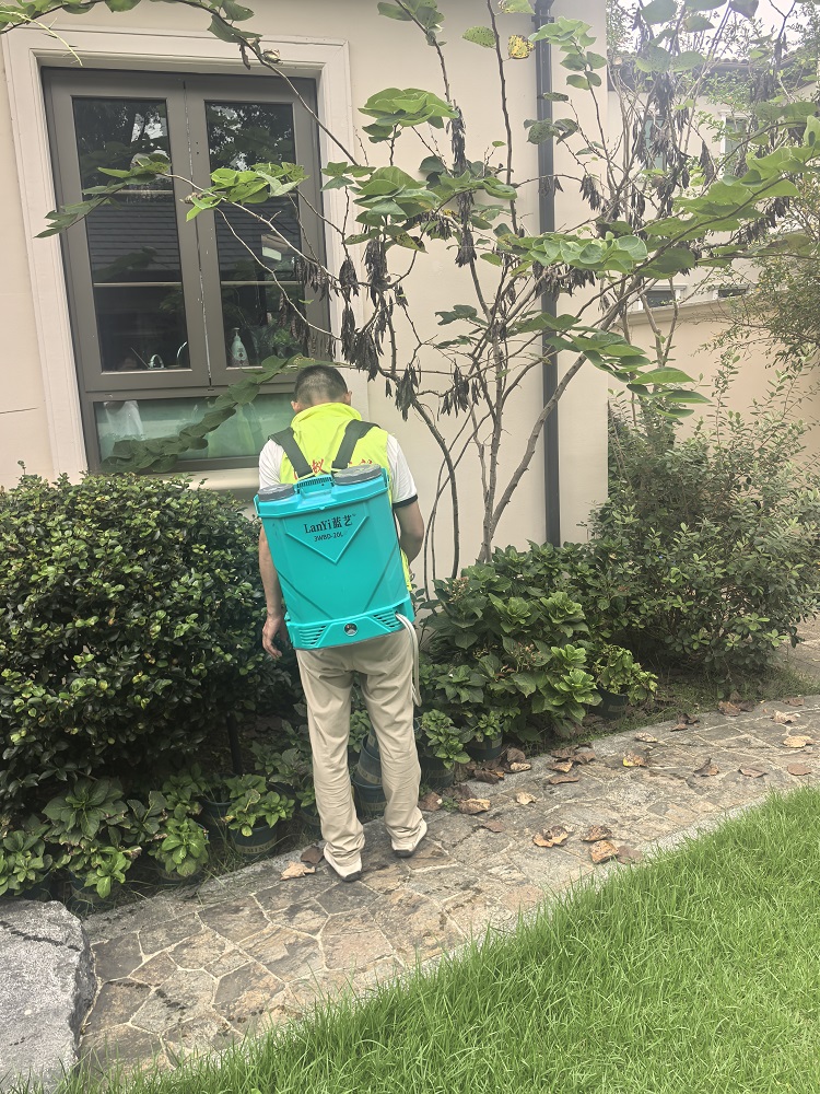 梳理口碑好的白蚁防治大型公司，推荐哪家值得托付