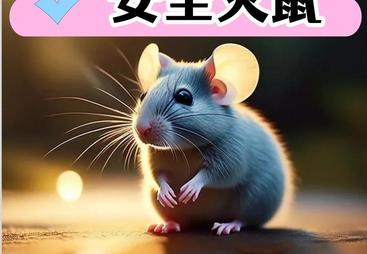 富阳区灭四害公司哪家强，古树仓库白蚁防治有专项方案