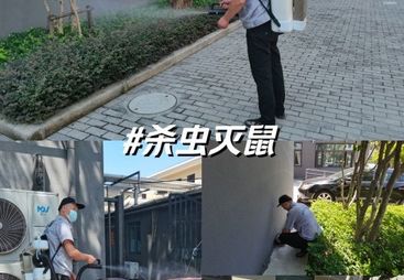 说说广澜白蚁防治好不好，性价比高的才是好选择
