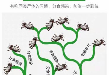 钱塘区除四害公司哪家可靠，低毒环保药剂更安心