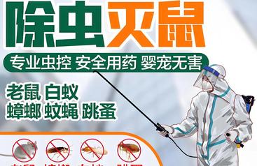 绍兴柯桥区白蚁防治售后有保障的公司推荐，快速响应上门勘察
