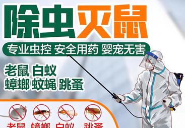 绍兴柯桥区白蚁防治售后有保障的公司推荐，快速响应上门勘察