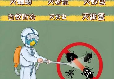 靠谱的白蚁防治品牌推荐，广澜白蚁防治经验丰富吗效果如何