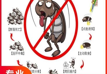 临平区家庭白蚁灭治哪家安全环保，广澜科技低剂守护健康