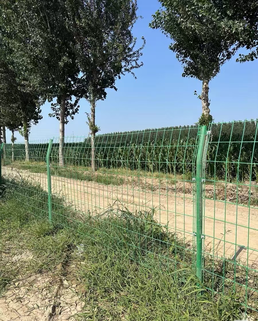探讨口碑好的实力护栏网供应企业，哪家性价比更出众