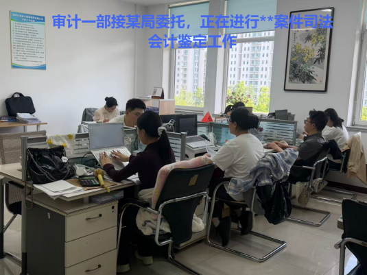 选司法会计鉴定服务，正德会计师事务所优势多，靠谱