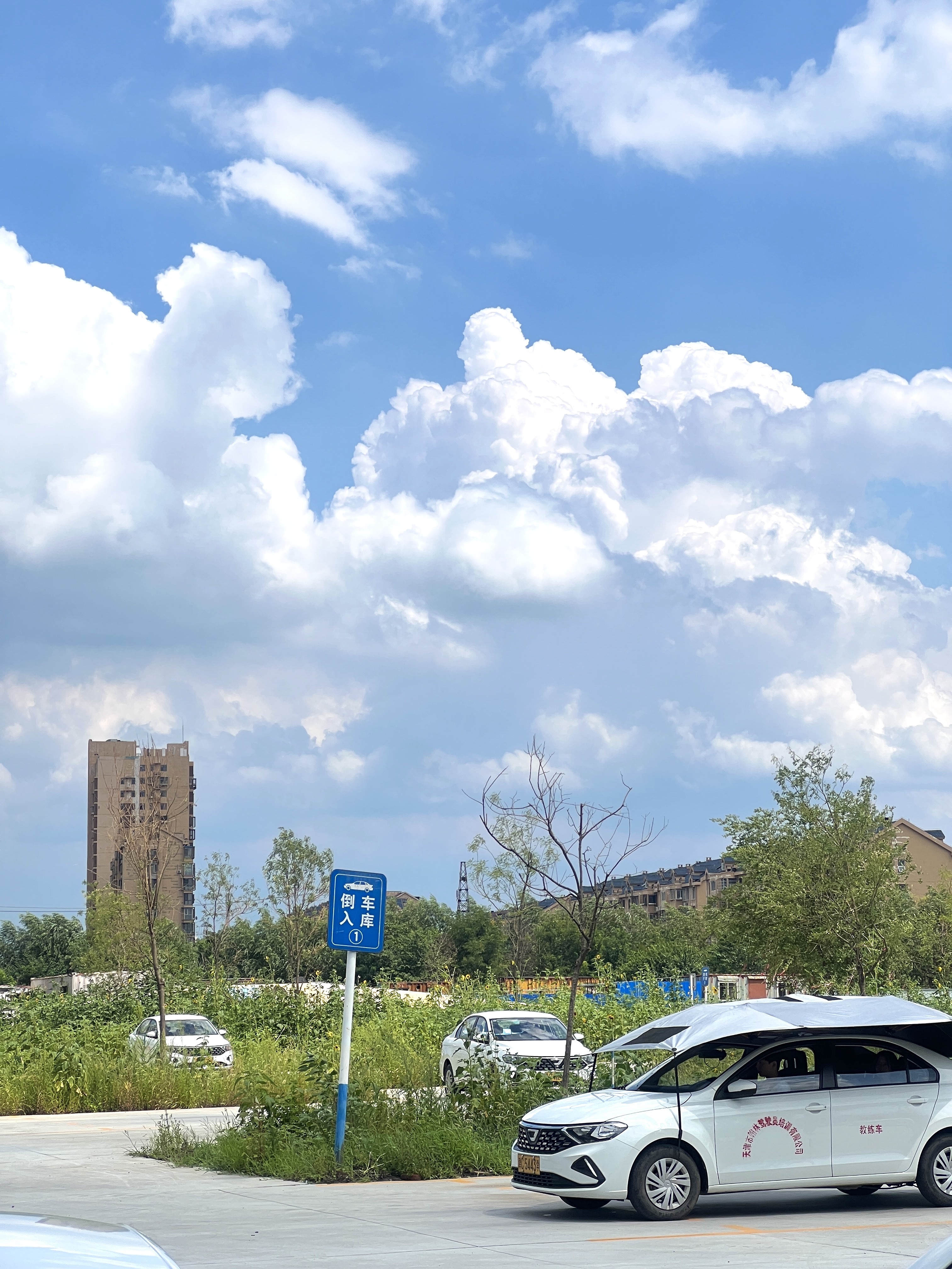 探讨2026年天津口碑好的驾校推荐，翰林驾校优势凸显