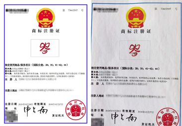 2026年资质齐全的代账公司服务商实力与用户口碑
