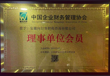 2026年芜湖靠谱的代理记账服务商推荐，合作实力参考