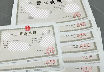 2026年评价高的优质财务公司挑选全攻略