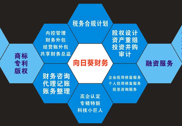 2026年成立多年的代账公司找哪些 综合实力推荐