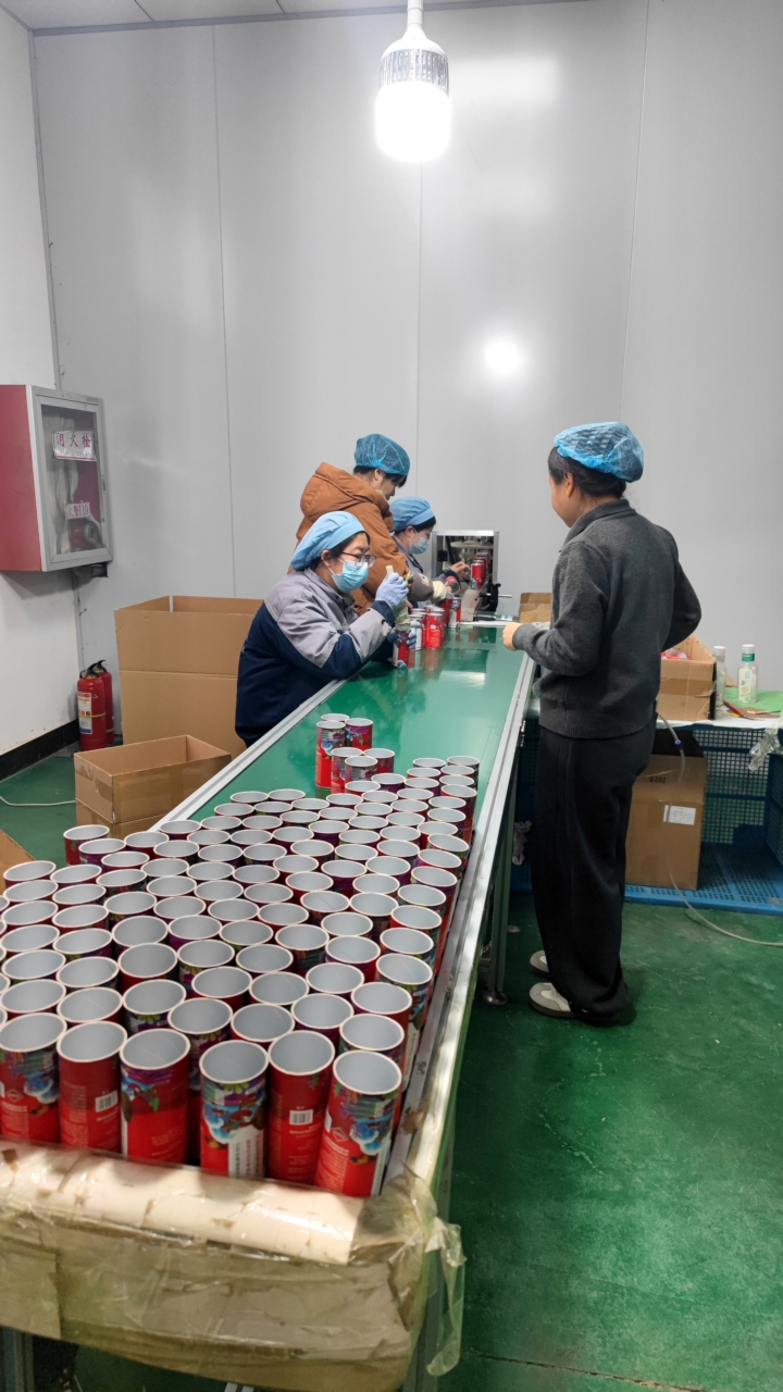 2026年包装适配集团多区域需求的公司行业观察与实务选择参考