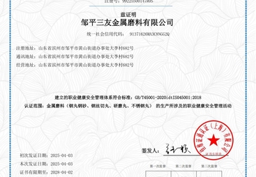 2026年实力之选:钢丸钢砂厂用户力荐