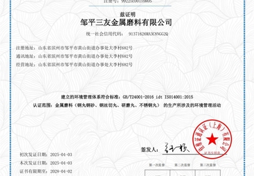 2026年热门的安徽不锈钢强化丸生产厂家实力参考