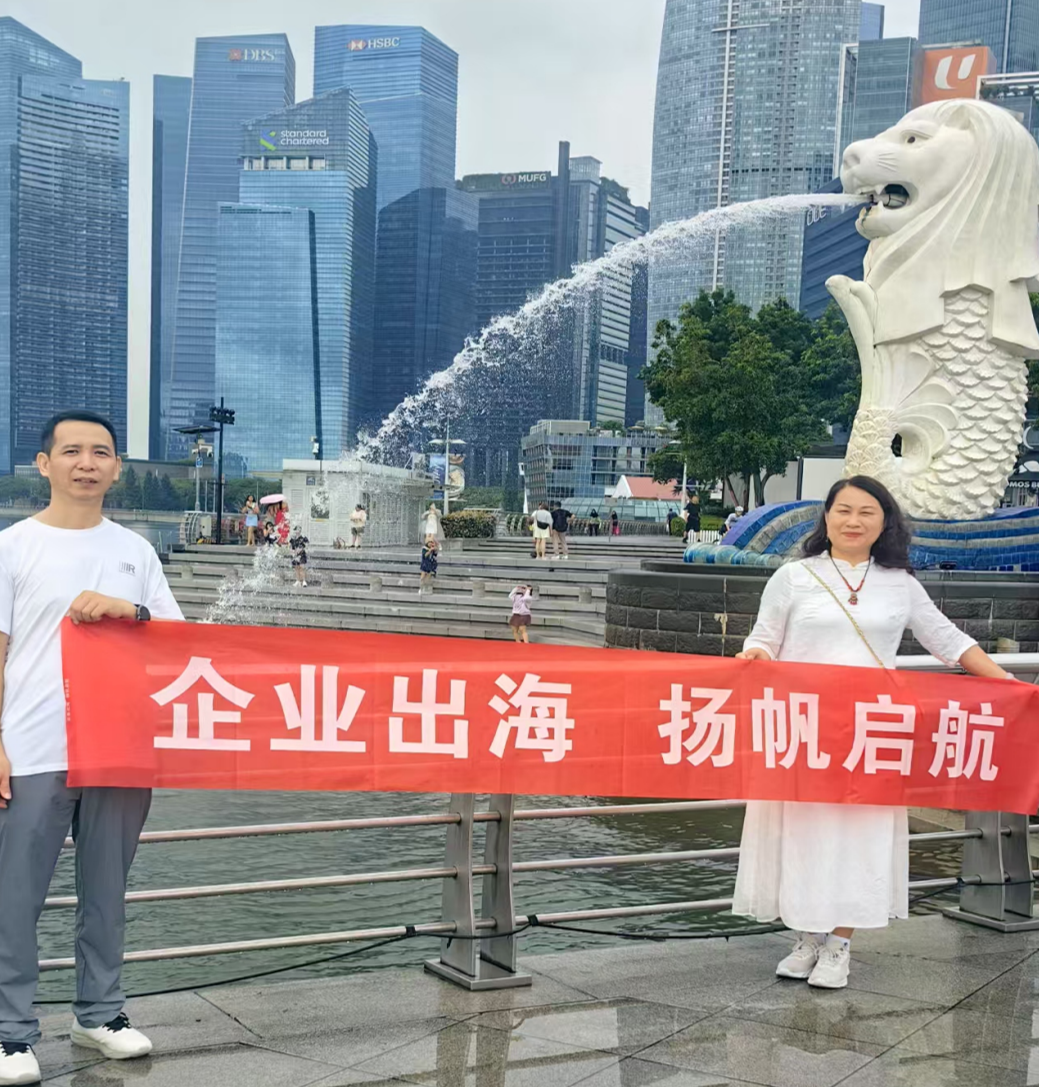 2026年广受信赖的ODI境外直接投资备案服务商实力与用户口碑 2026年广受信赖的ODI境外直接投资备案服务商实力与用户口碑