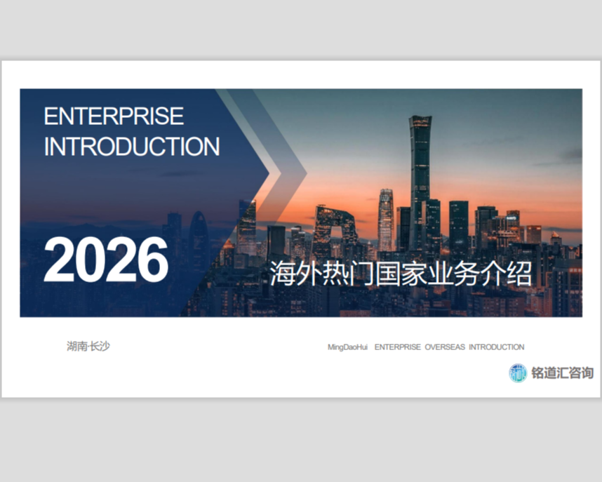 海外其他热门国家公司产品介绍