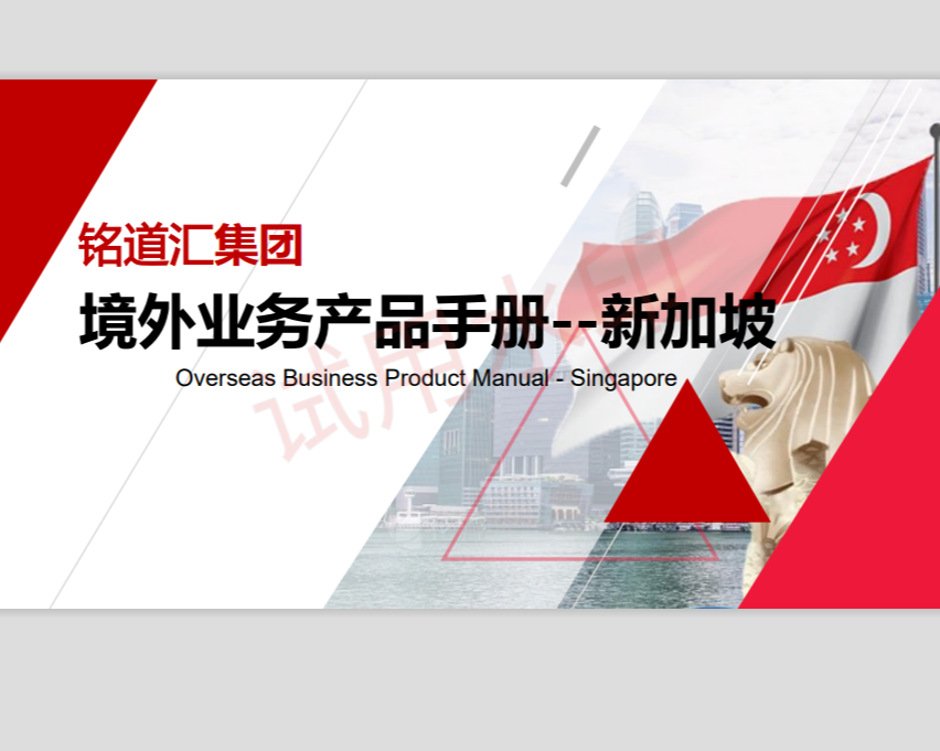新加坡公司产品介绍