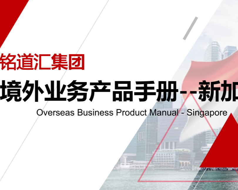 新加坡业务产品