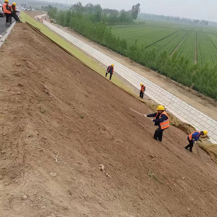 探讨宁夏环保边坡防护草毯加工厂的价格，怎么收费?