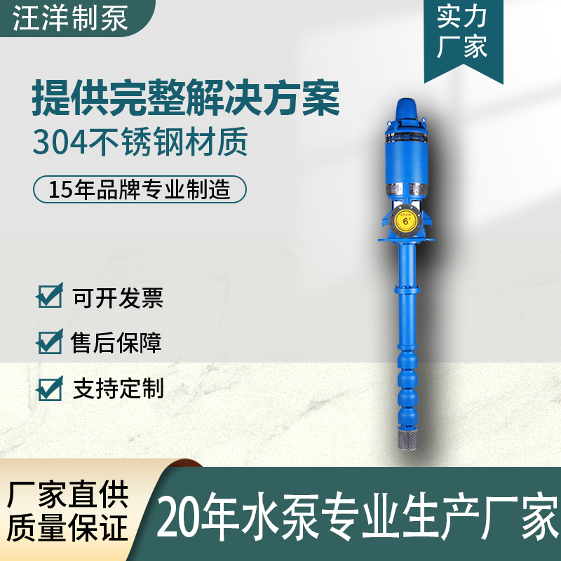 2026年长轴深井泵零售商家哪家好，看完这篇再决定