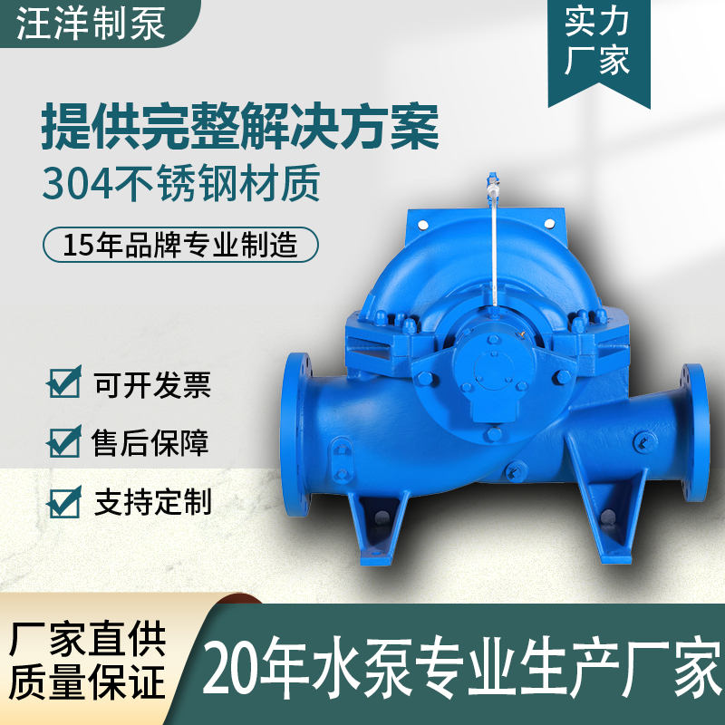 2026年广受信赖的中开泵品牌产品技术支持对比与选择指南 2026年广受信赖的中开泵品牌产品技术支持对比与选择指南