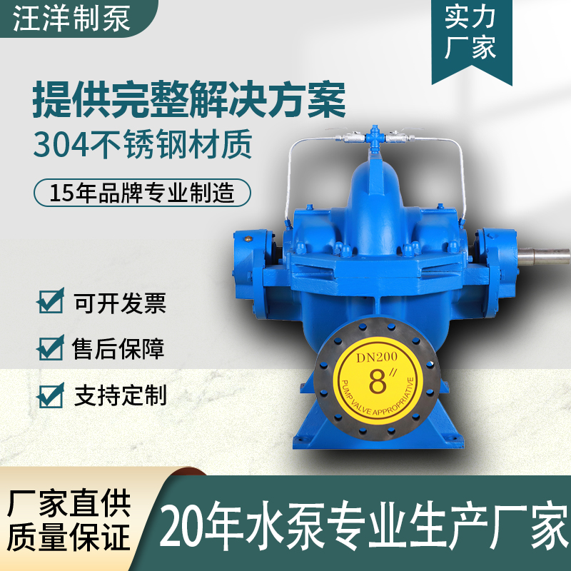 2026年广受信赖的中开泵品牌产品技术支持对比与选择指南 2026年广受信赖的中开泵品牌产品技术支持对比与选择指南