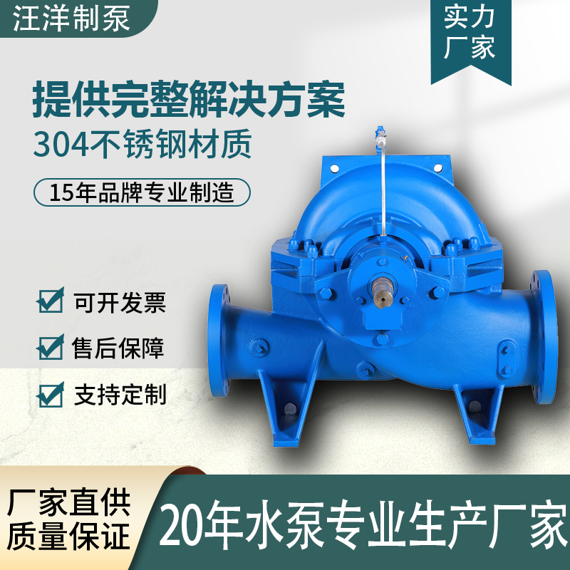 2026年加拿大中开泵品牌产品节能性哪家好 2026年加拿大中开泵品牌产品节能性哪家好