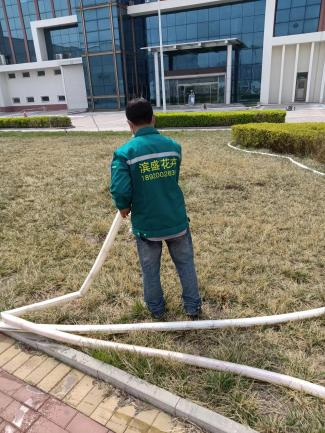 梳理2026年绿植花卉销售公司排名，分享高性价比批发公司