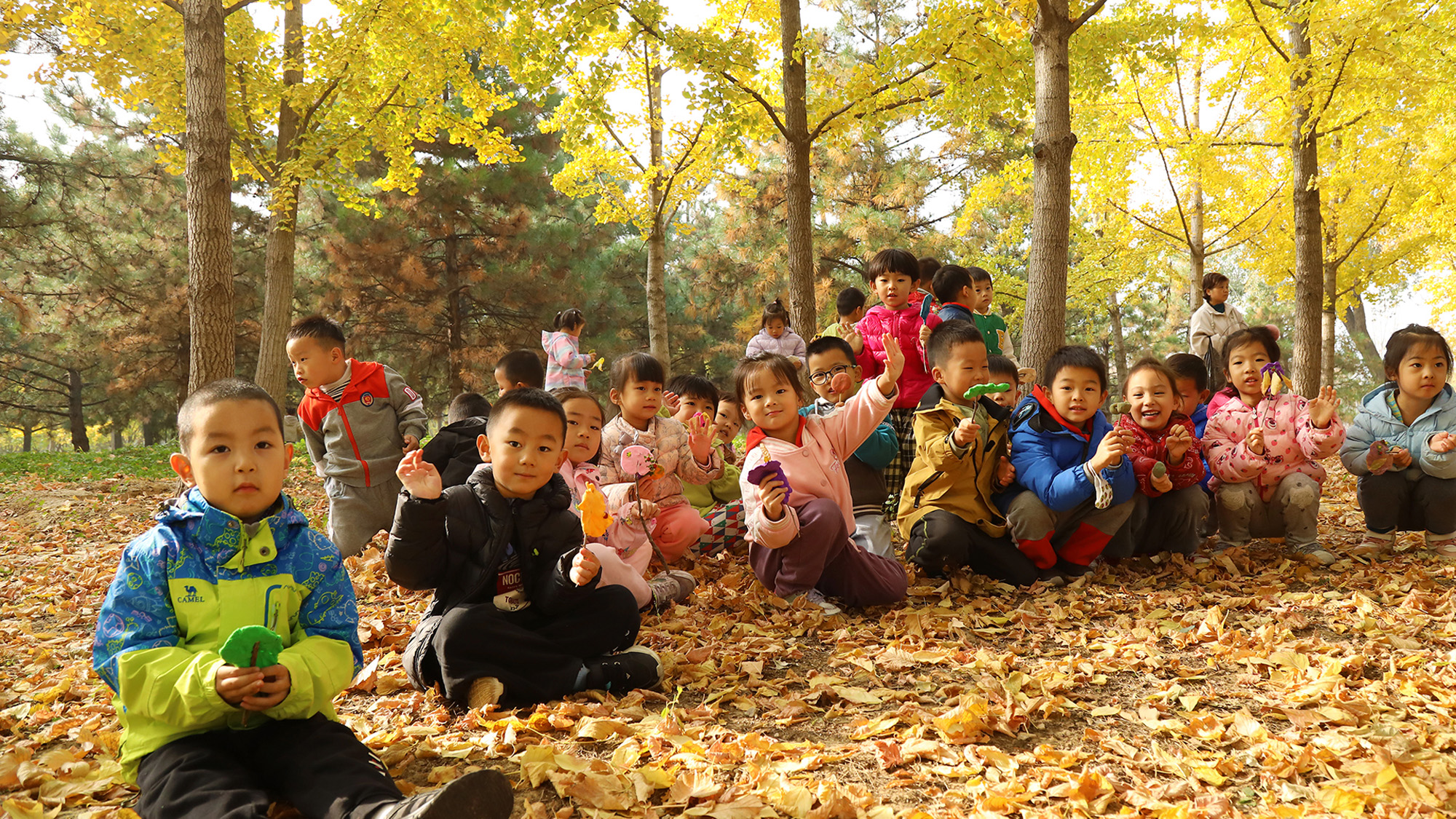 2026年硬件设施好的幼儿园发展现状与市场占有率及排名研究分析报告 2026年硬件设施好的幼儿园发展现状与市场占有率及排名研究分析报告