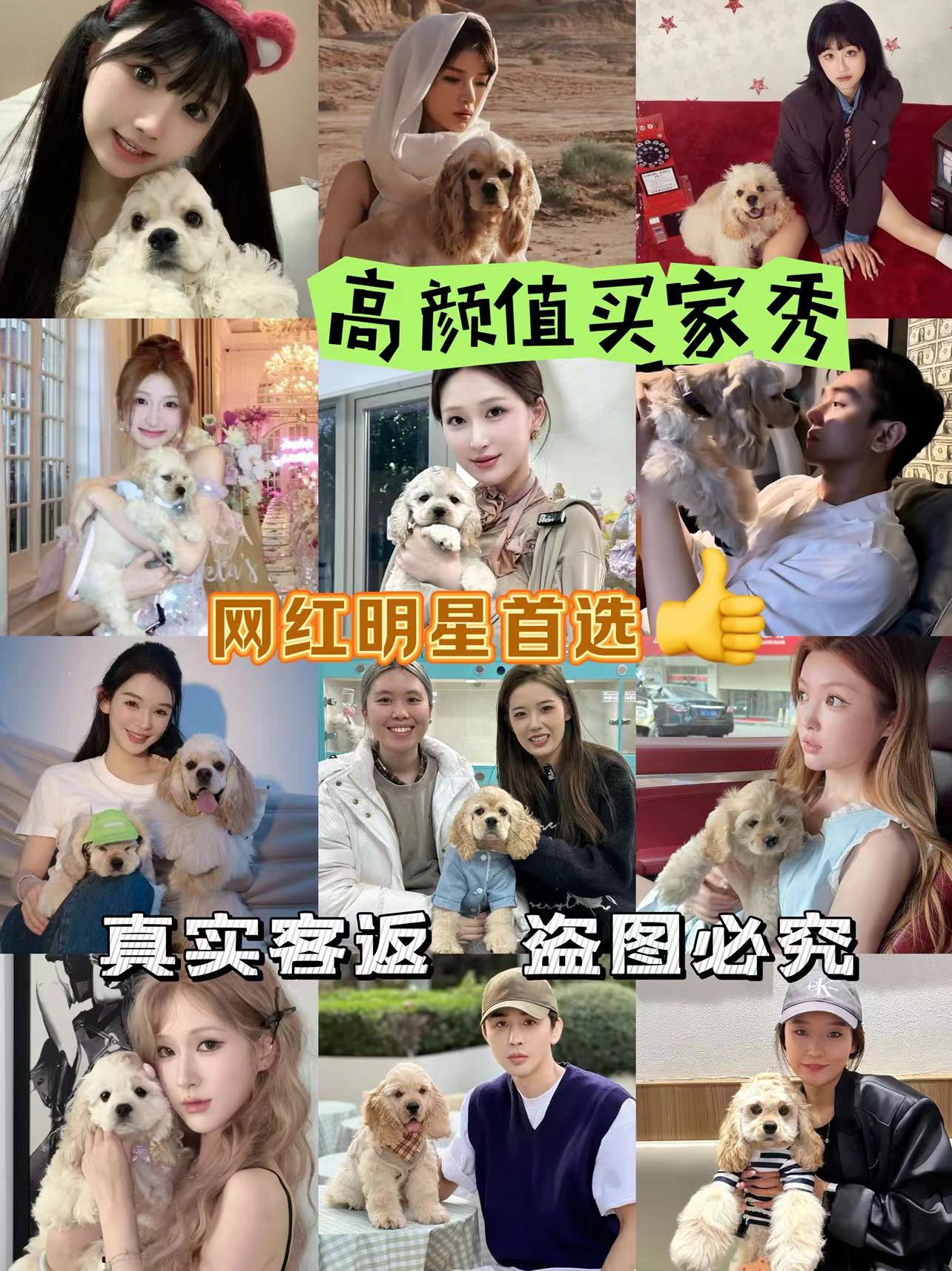探讨上海附近哪有宠物店，可买到宠物狗的店费用怎么算