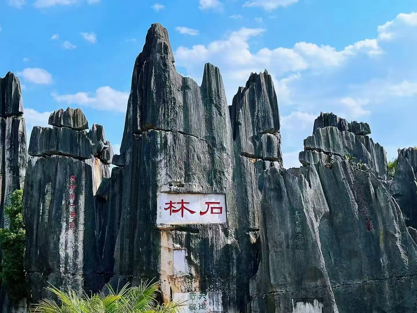 想选纯玩亲子游，云南口碑好且价格合理的是哪家