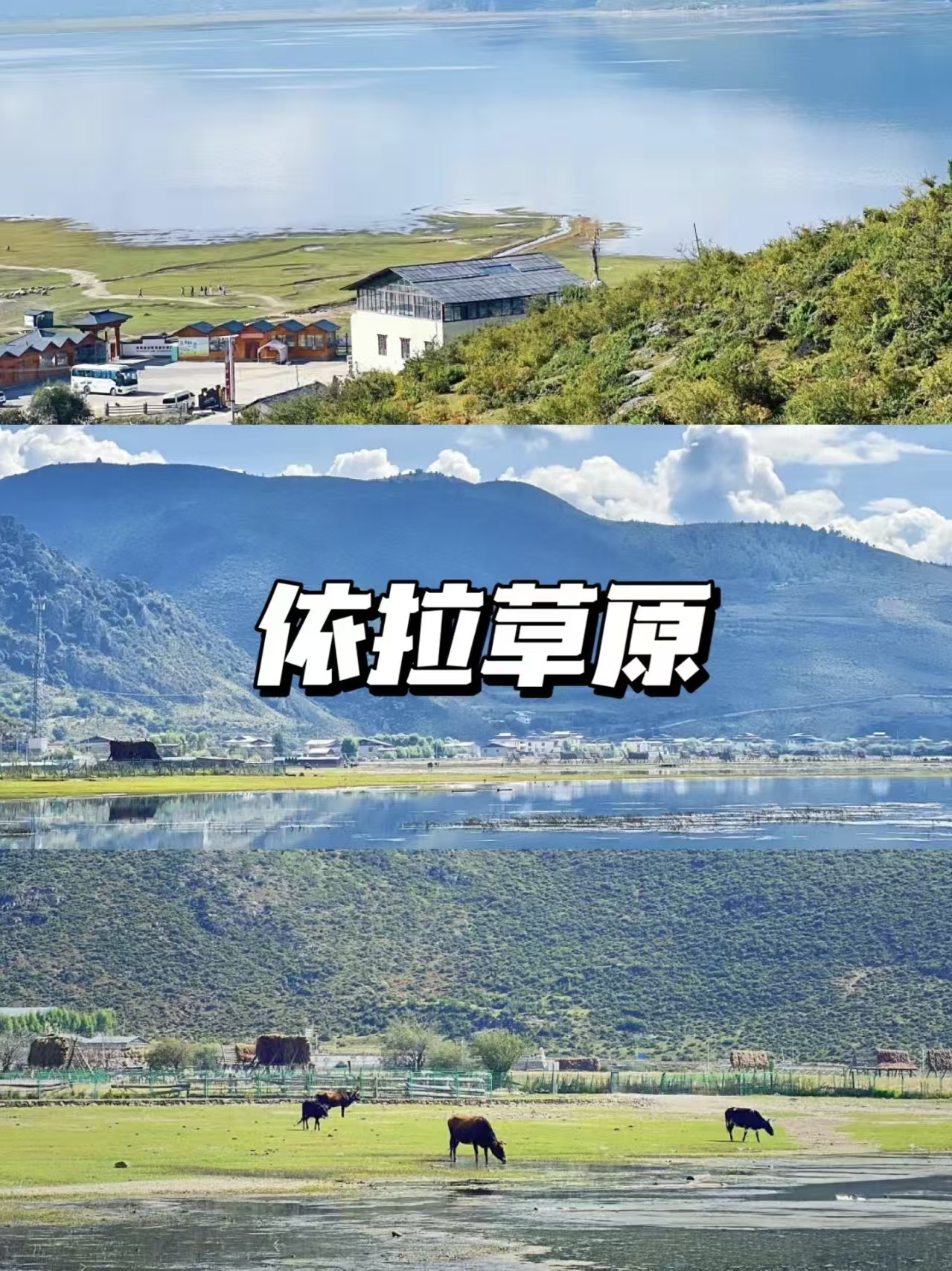 2026年云南天天乐旅行社老年旅游满意度高的公司有哪些